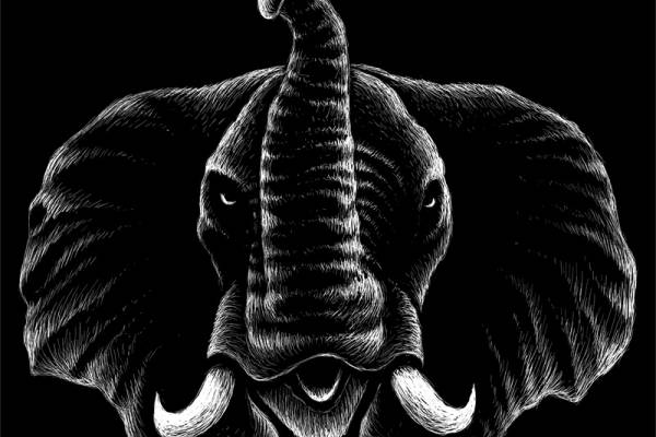 时尚大象裁片印花服装，独特设计引领潮流