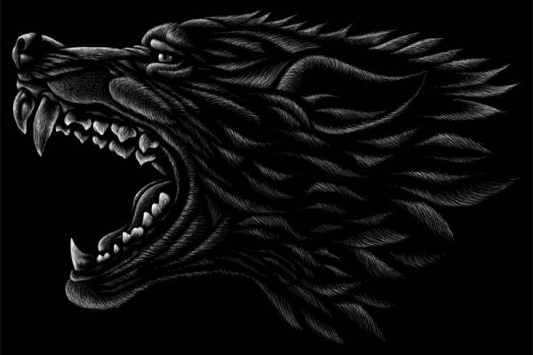 霸气黑鹰裁片印花服装，展现个性与力量的完美融合