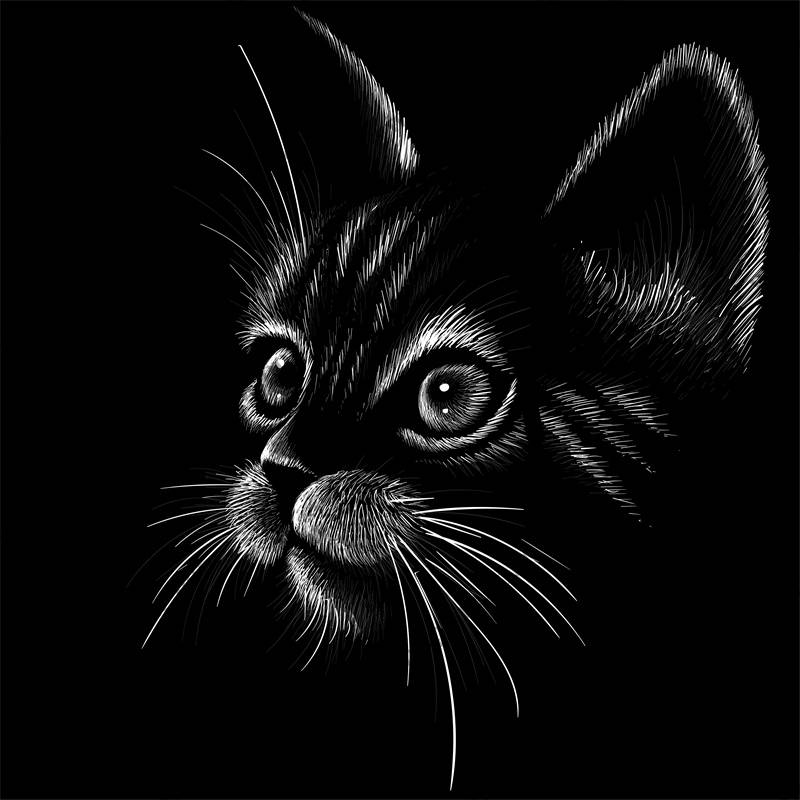 时尚猫咪裁片印花服装 打造个性潮流服装印花设计