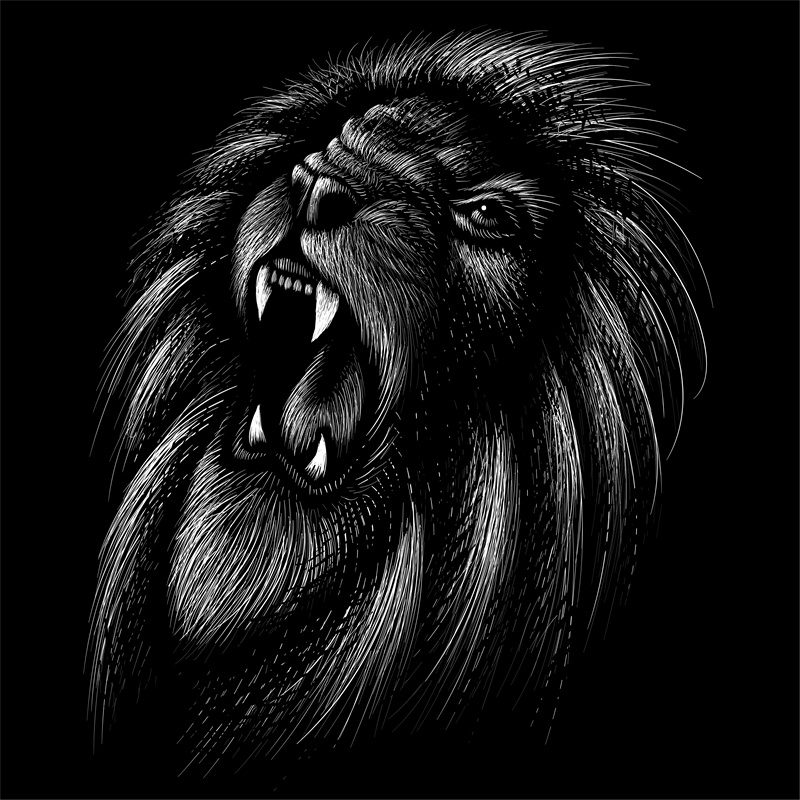 霸气狮子头裁片印花服装 时尚街头风格服装印花设计