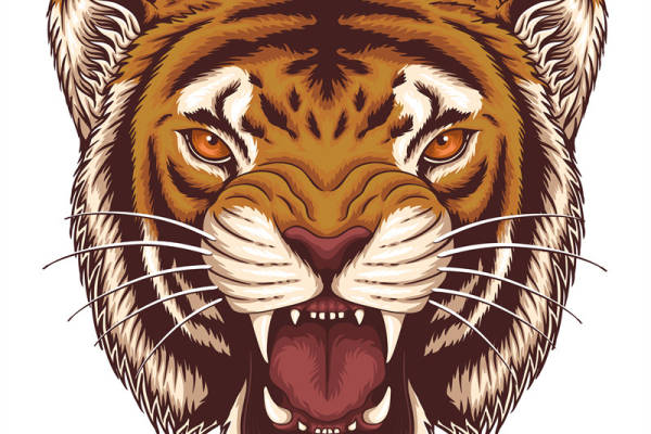 霸气老虎头裁片印花服装，展现个性与力量的时尚选择