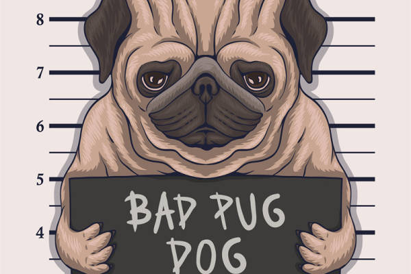 创意趣味裁片印花服装：萌宠巴哥犬图案设计