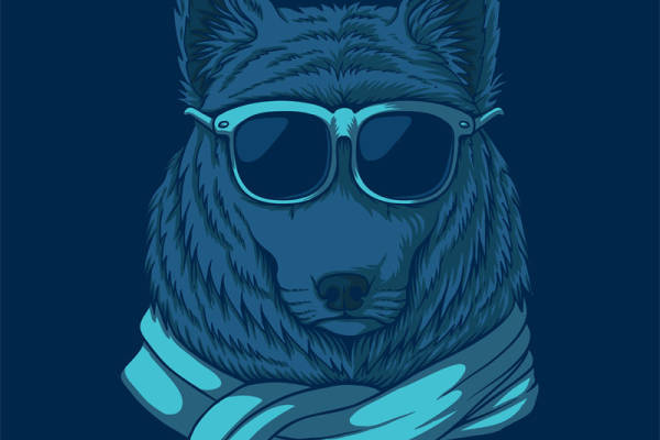 时尚狗狗裁片印花服装，打造个性潮流风格