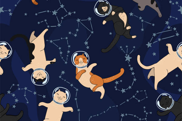 太空探险猫咪服装印花面料设计