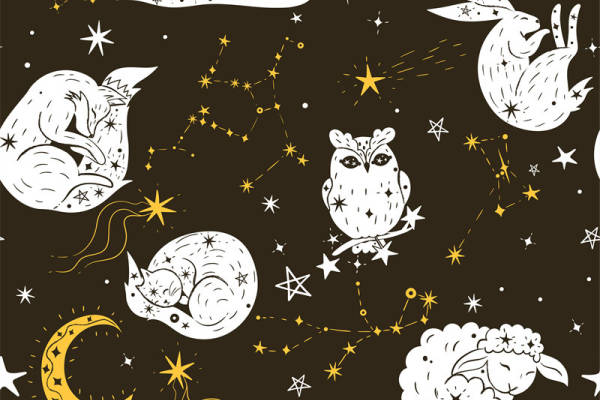 梦幻夜空主题面料印花，独特设计服装印花图案