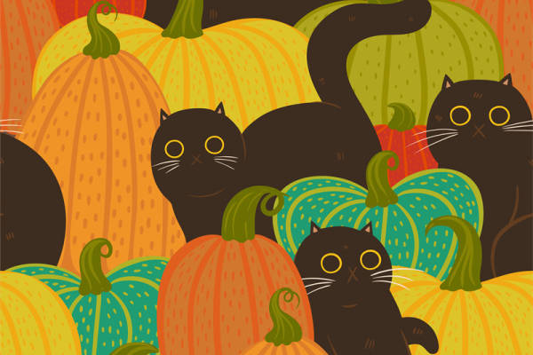 秋季南瓜与黑猫服装印花面料设计