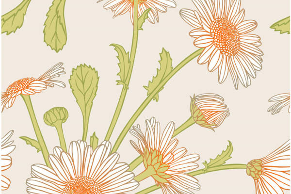 自然风格雏菊图案服装印花面料推荐