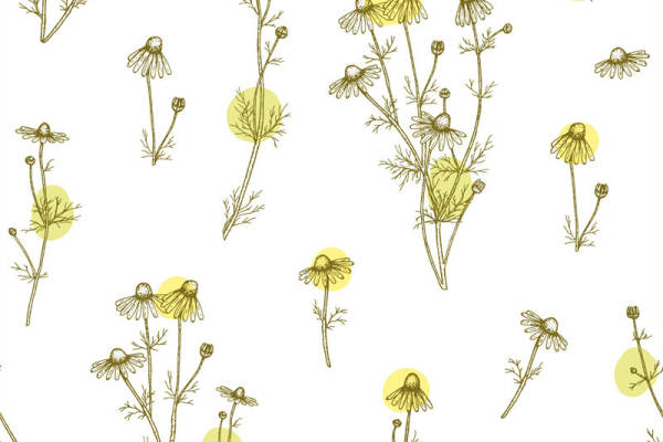 自然风格花卉图案服装印花面料设计