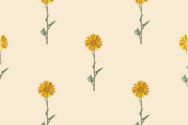 夏日清新向日葵面料印花服装设计