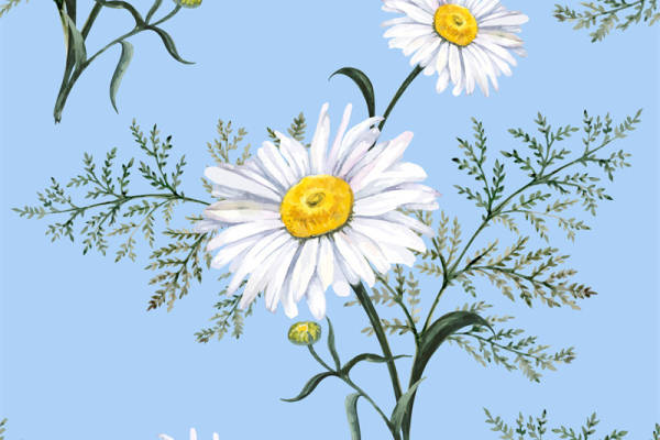 清新自然风格雏菊面料印花服装印花设计