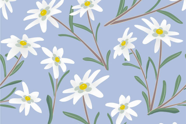 清新自然风格白色雏菊服装印花面料推荐