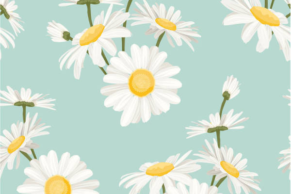 清新自然风格服装印花：白色雏菊图案面料印花设计