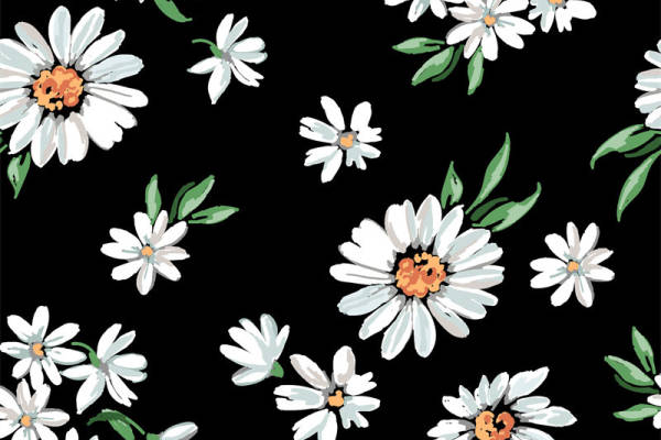 优雅白色雏菊图案面料印花,经典服装印花设计