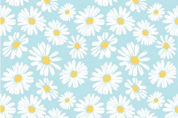 清新风格雏菊图案服装印花面料