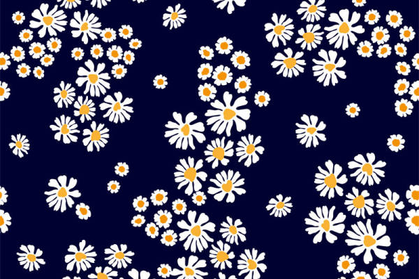 深蓝色背景上的白色雏菊服装印花面料