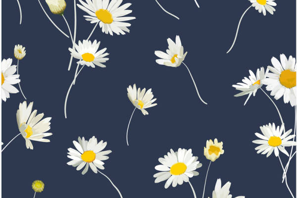 深蓝色背景上的清新雏菊面料印花服装