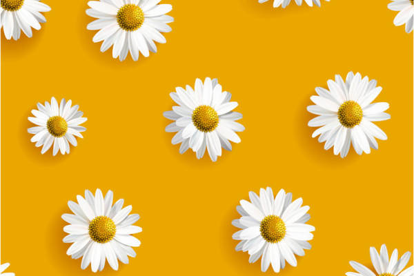 清新自然雏菊图案服装印花面料印花设计