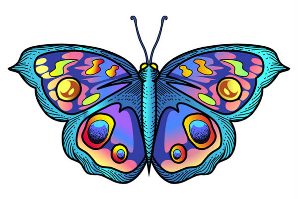 梦幻色彩蝴蝶裁片印花服装，时尚与自然的完美结合