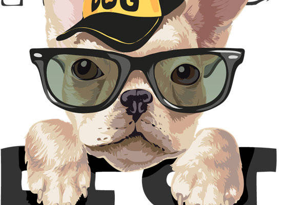 时尚狗狗裁片印花服装，展现最佳朋友风采