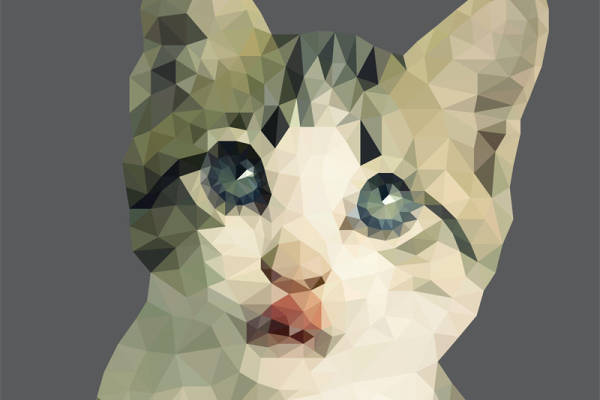 几何风格猫脸裁片印花服装，时尚与艺术的完美结合