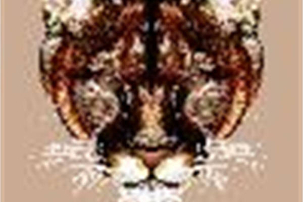 独特动物图案裁片印花服装印花设计