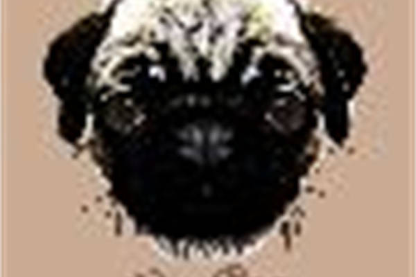 可爱狗狗头像裁片印花服装印花设计