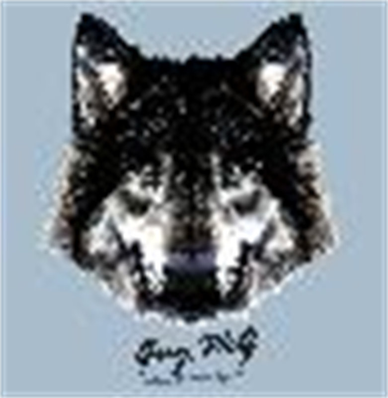 独特狼头图案裁片印花服装,展现个性与野性魅力