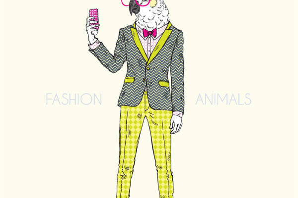 时尚动物裁片印花服装：鹦鹉图案创意设计