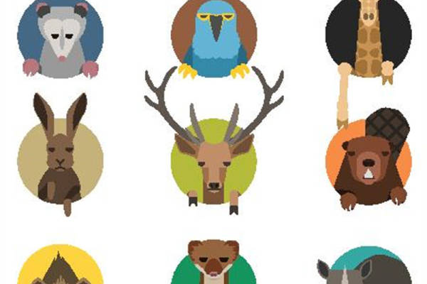 创意动物图案裁片印花服装印花设计