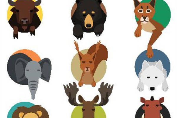 创意动物裁片印花服装：独特设计，适合各种场合