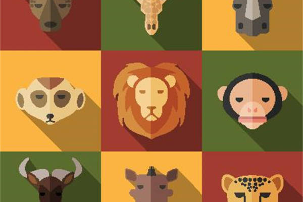 创意动物裁片印花服装，时尚与自然的完美结合