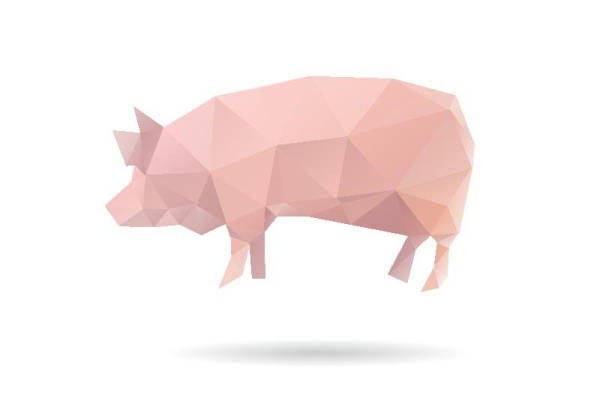 几何风格粉色猪裁片印花服装设计