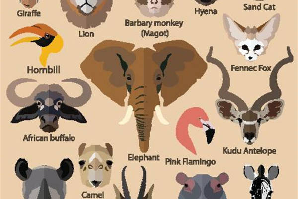 非洲野生动物裁片印花服装：独特风格与自然之美