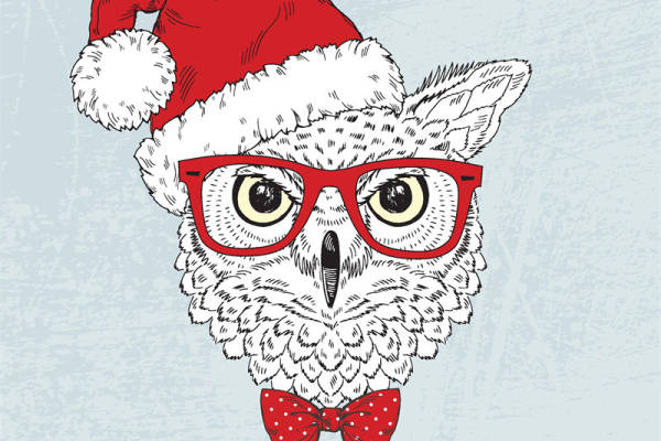 新年贺岁款时尚猫头鹰裁片印花服装