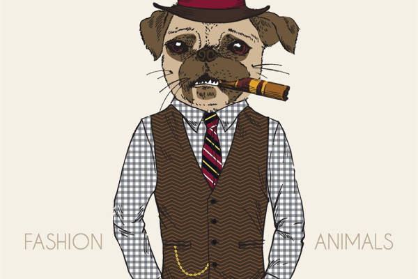 时尚动物裁片印花服装:狗穿西装的趣味设计