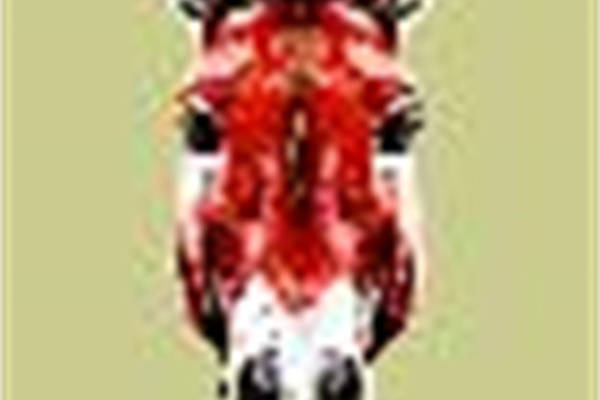 创意牛头裁片印花服装，展现独特西部风格