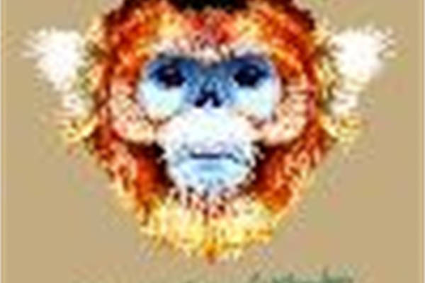 独特创意裁片印花服装:狮子头像艺术风格印花