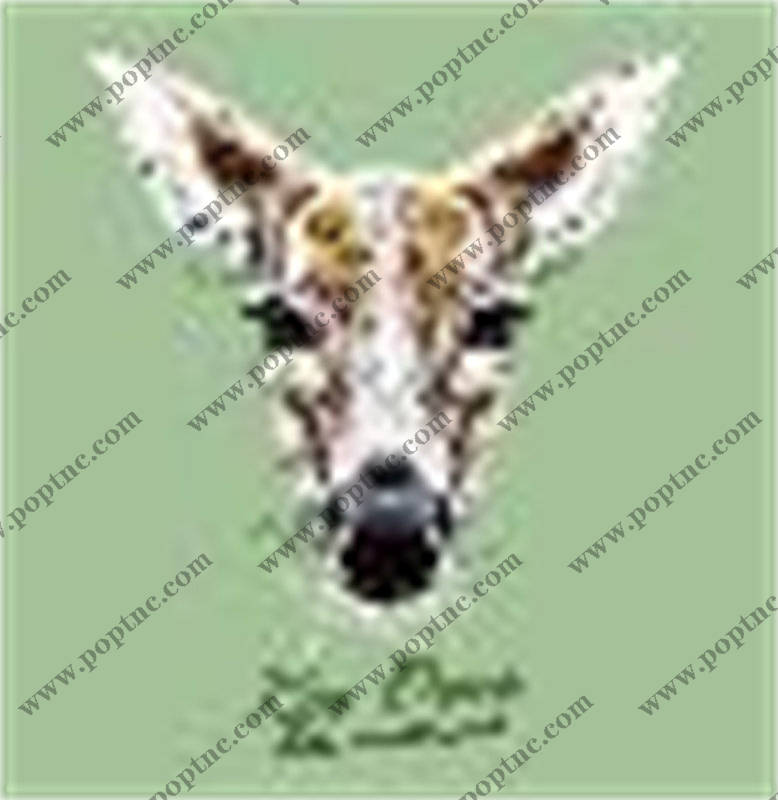 时尚长颈鹿裁片印花服装 独特设计引领潮流