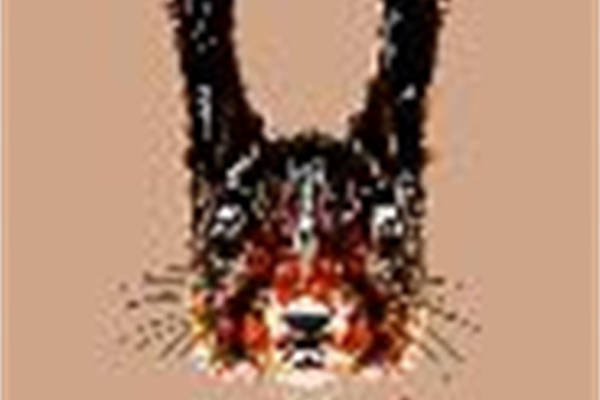 独特风格裁片印花服装：神秘狼头图案设计