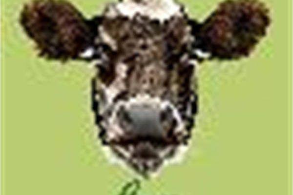 时尚个性牛头裁片印花服装,展现独特风采