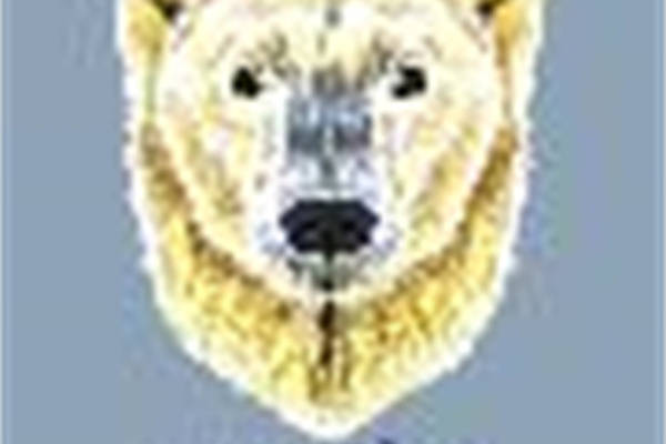 时尚狮子头裁片印花服装，展现个性与力量的象征