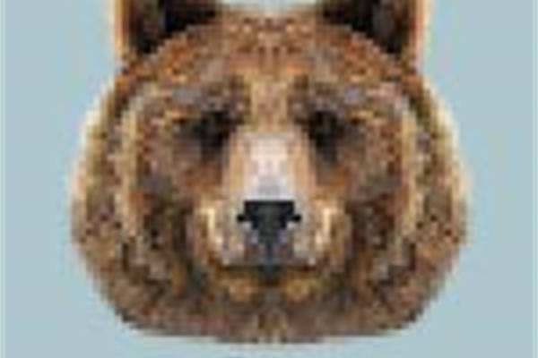 创意熊脸裁片印花服装,时尚与自然完美融合