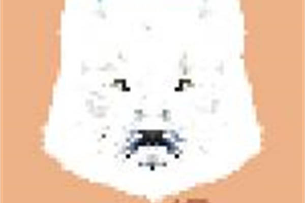 创意可爱猫咪裁片印花服装,时尚音乐元素服装印花设计