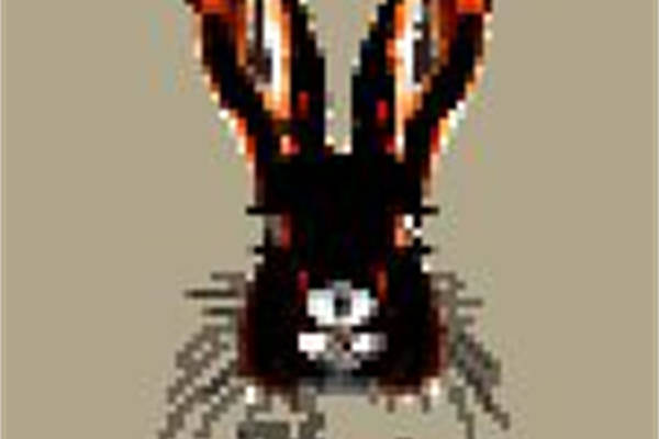 创意蜘蛛裁片印花服装，打造独特街头风格