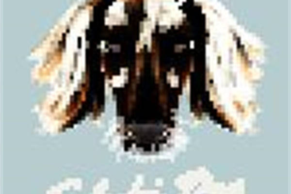 时尚潮流个性服装印花设计:独特裁片印花图案