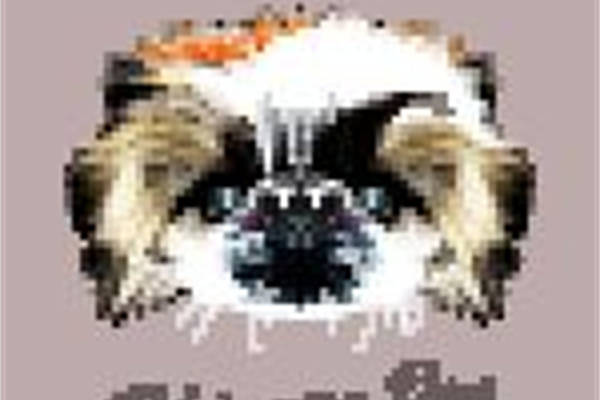 复古风格狮子头裁片印花服装,展现独特个性