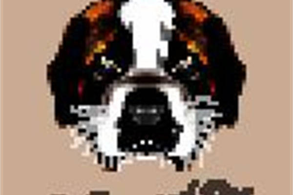 复古像素风格狮子头裁片印花服装印花设计