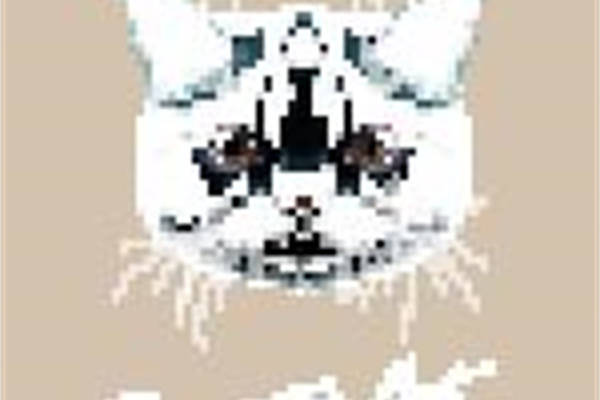 创意几何裁片印花服装，打造时尚新潮流