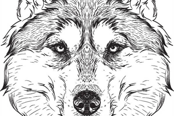 时尚狼头裁片印花服装设计，野性与现代感的完美结合