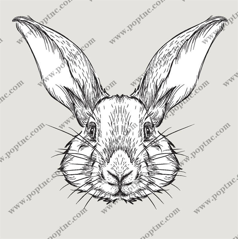 时尚可爱的兔子裁片印花服装,增添活力与趣味